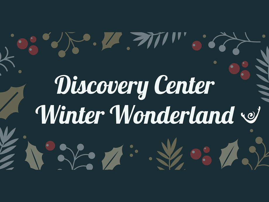 Discovery Center's Indoor Winter Wonderland - It's All Downtown | It's ...