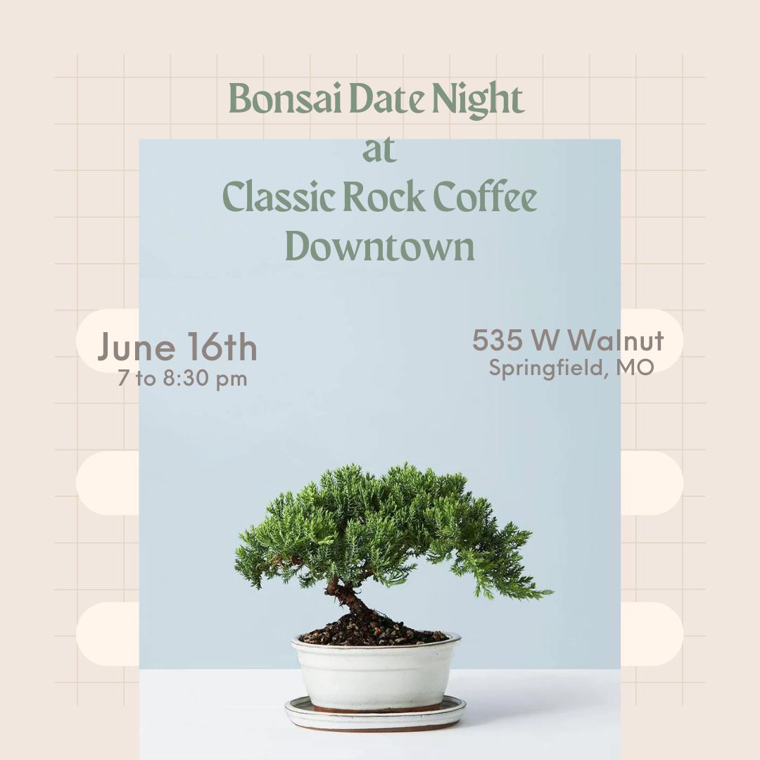 Bonsai Date Night at Classic Rock Coffee Downtown