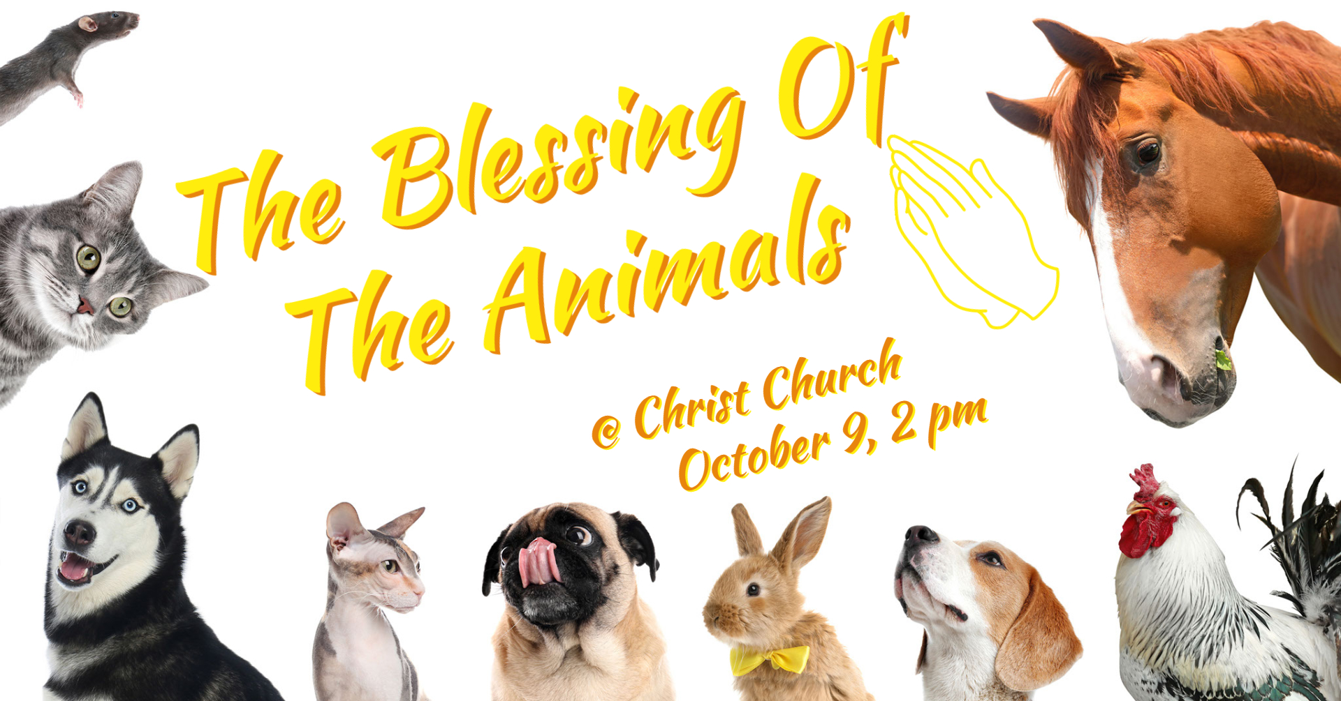 The Blessing of the Animals