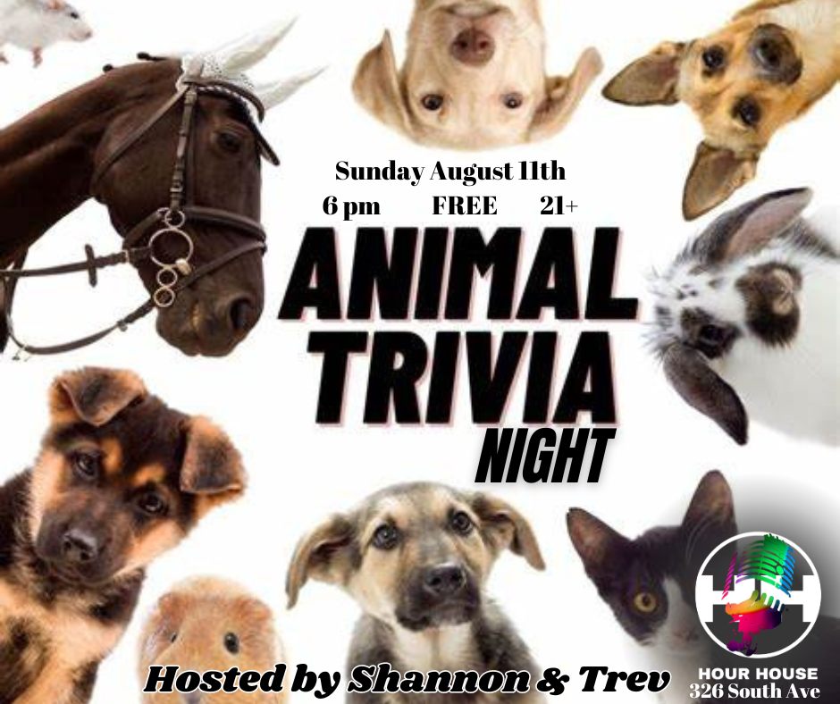 Animal Trivia Night